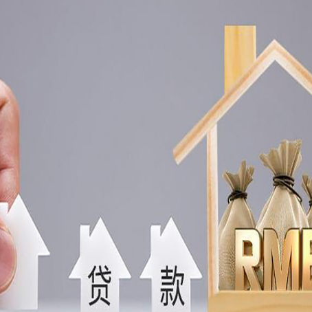 枣阳贷款中介公司新渝启服怎么样